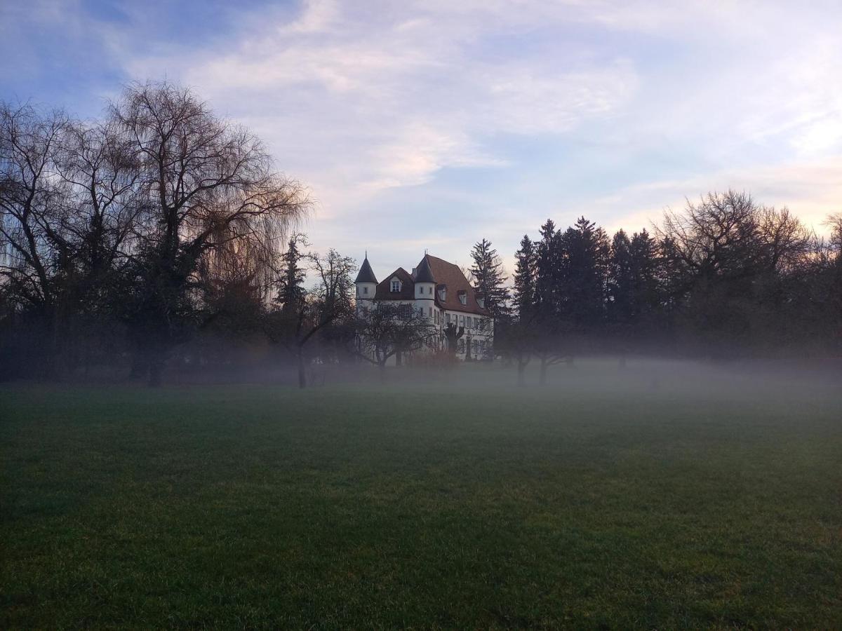 Matzenheim Chateau De Werde المظهر الخارجي الصورة
