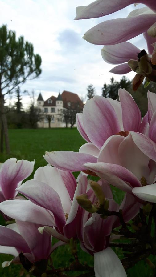 Matzenheim Chateau De Werde المظهر الخارجي الصورة