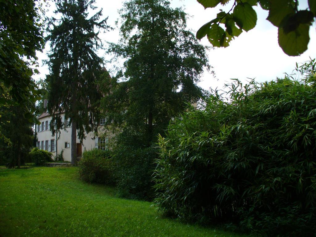Matzenheim Chateau De Werde المظهر الخارجي الصورة