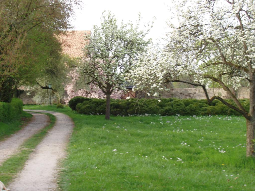 Matzenheim Chateau De Werde المظهر الخارجي الصورة