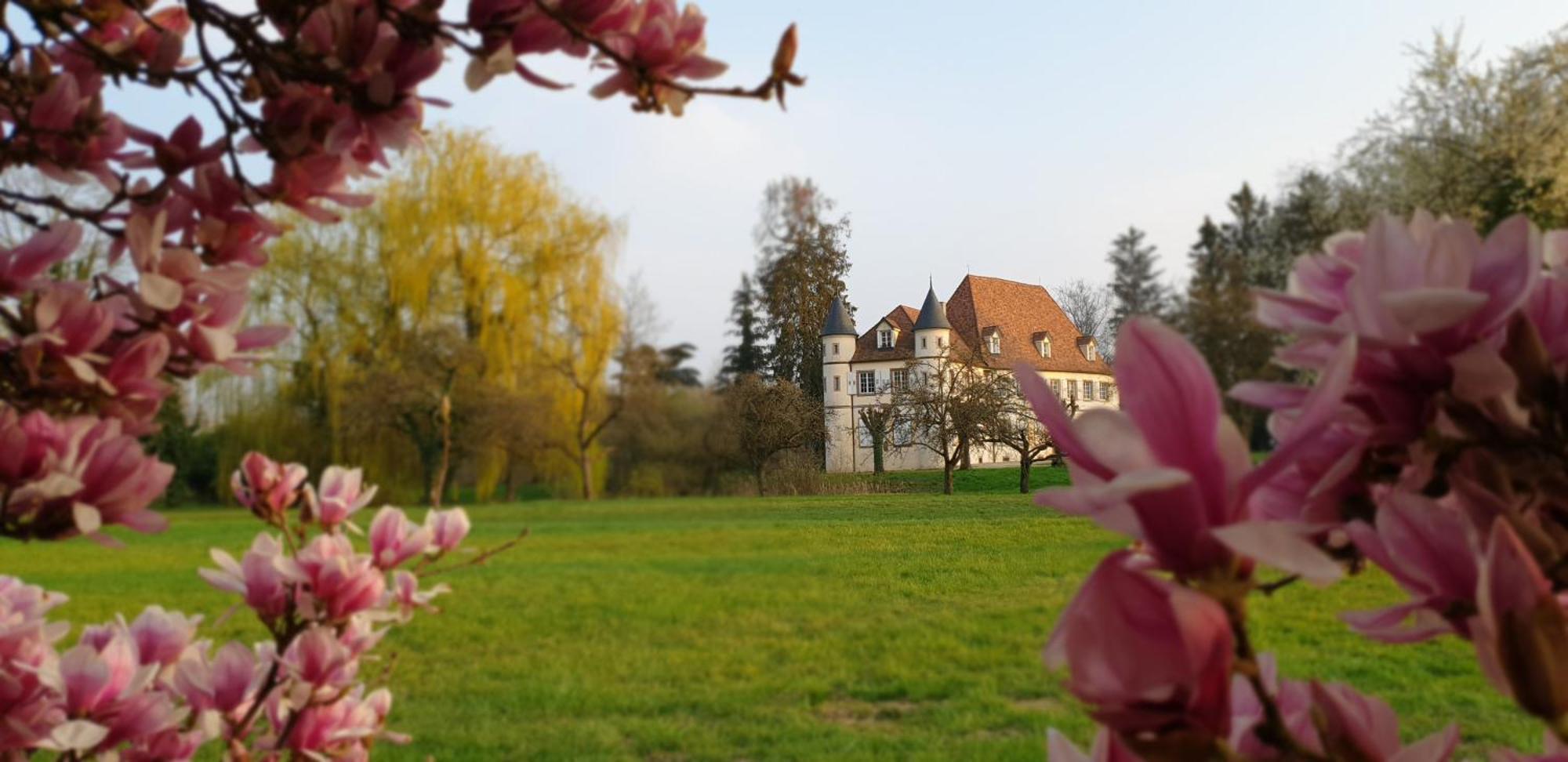 Matzenheim Chateau De Werde المظهر الخارجي الصورة