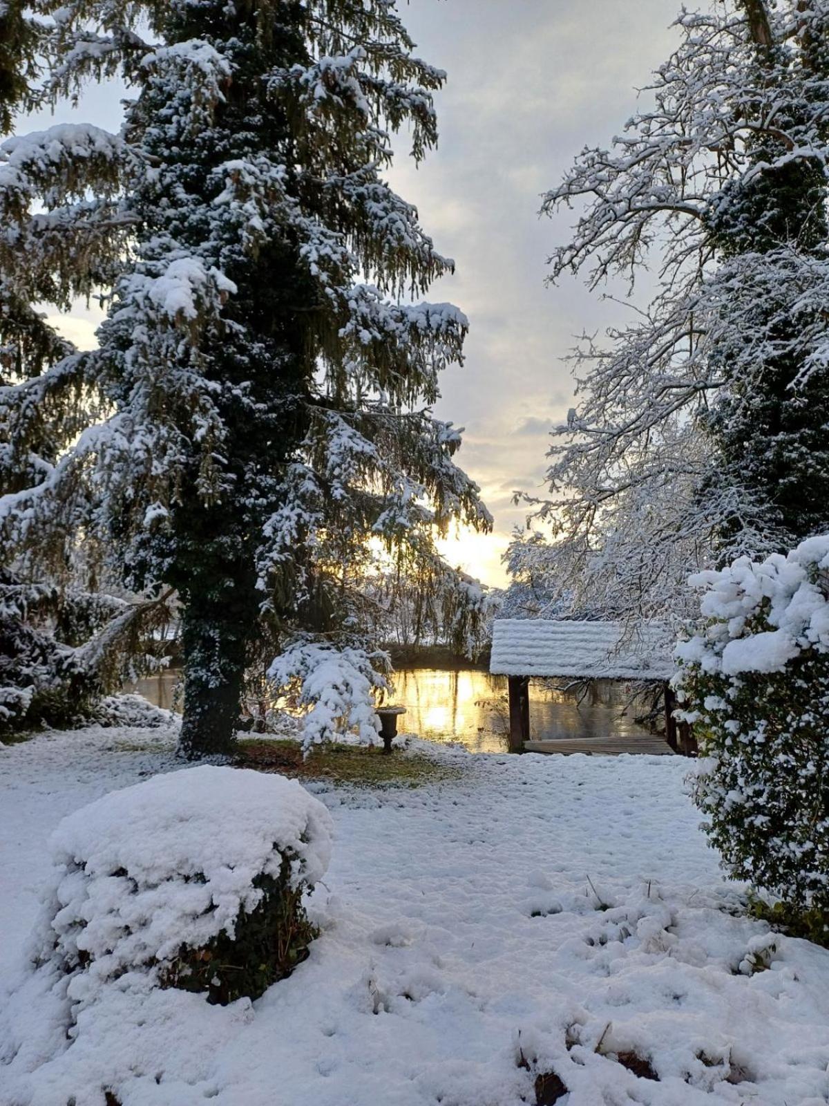 Matzenheim Chateau De Werde المظهر الخارجي الصورة
